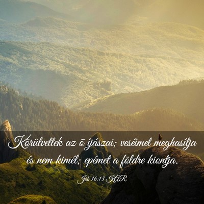 Picture 03 - Jób 16:13 KAR - Körülvettek az õ íjászai; veséimet - Bible Verse Picture