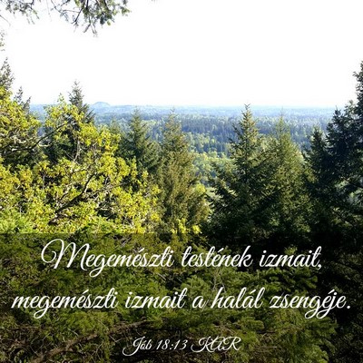 Picture 03 - Jób 18:13 KAR - Megemészti testének izmait, megemészti izmait - Bible Verse Picture