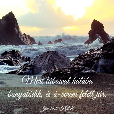 Picture 03 - Jób 18:8 KAR - Mert lábaival hálóba bonyolódik, és ó-verem - Bible Verse Picture