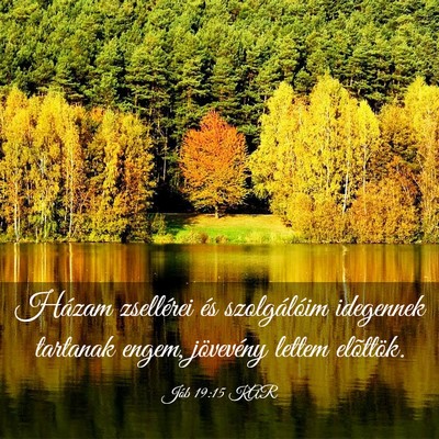 Picture 03 - Jób 19:15 KAR - Házam zsellérei és szolgálóim idegennek - Bible Verse Picture