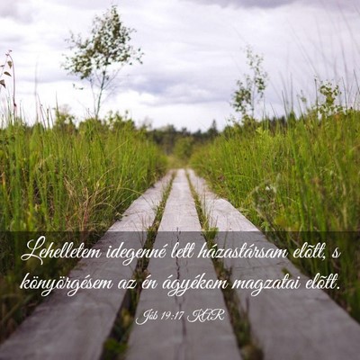 Picture 03 - Jób 19:17 KAR - Lehelletem idegenné lett házastársam elõtt, s - Bible Verse Picture
