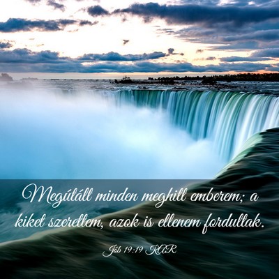 Picture 03 - Jób 19:19 KAR - Megútált minden meghitt emberem; a kiket - Bible Verse Picture