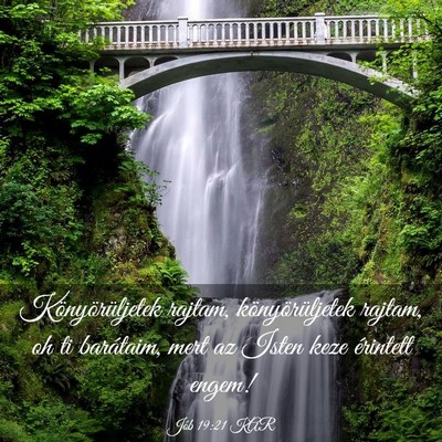 Picture 03 - Jób 19:21 KAR - Könyörüljetek rajtam, könyörüljetek rajtam, - Bible Verse Picture