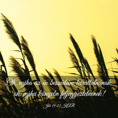 Picture 03 - Jób 19:23 KAR - Oh, vajha az én beszédeim leirattatnának, oh, - Bible Verse Picture