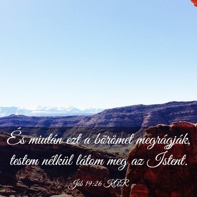 Picture 03 - Jób 19:26 KAR - És miután ezt a bõrömet megrágják, testem - Bible Verse Picture