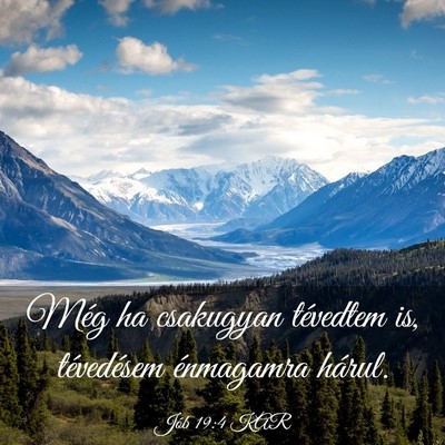 Picture 03 - Jób 19:4 KAR - Még ha csakugyan tévedtem is, tévedésem - Bible Verse Picture