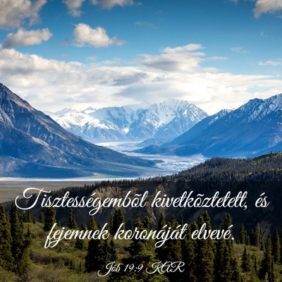 Picture 03 - Jób 19:9 KAR - Tisztességembõl kivetkõztetett, és fejemnek - Bible Verse Picture
