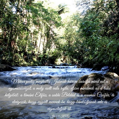 Picture 03 - Jób 2:11 KAR - Mikor pedig meghallá Jóbnak három barátja - Bible Verse Picture