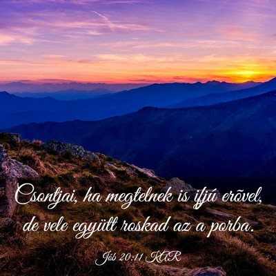 Picture 03 - Jób 20:11 KAR - Csontjai, ha megtelnek is ifjú erõvel, de vele - Bible Verse Picture