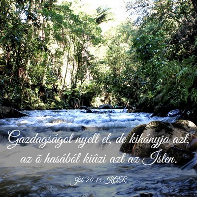 Picture 03 - Jób 20:15 KAR - Gazdagságot nyelt el, de kihányja azt, az õ - Bible Verse Picture