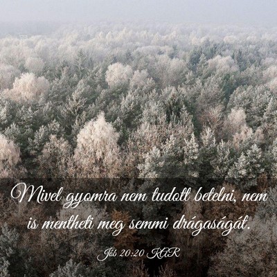 Picture 03 - Jób 20:20 KAR - Mivel gyomra nem tudott betelni, nem is mentheti - Bible Verse Picture