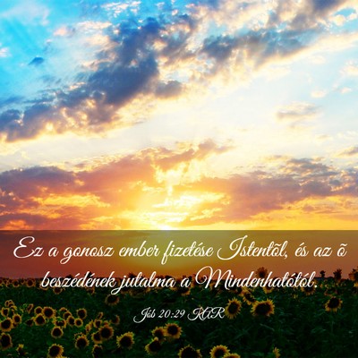 Picture 03 - Jób 20:29 KAR - Ez a gonosz ember fizetése Istentõl, és az õ - Bible Verse Picture