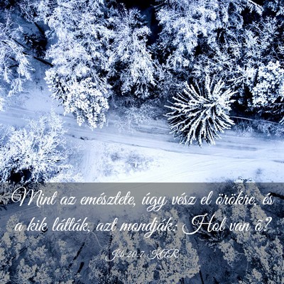 Picture 03 - Jób 20:7 KAR - Mint az emésztete, úgy vész el örökre, és a - Bible Verse Picture