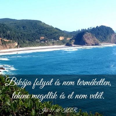 Picture 03 - Jób 21:10 KAR - Bikája folyat és nem terméketlen, tehene - Bible Verse Picture