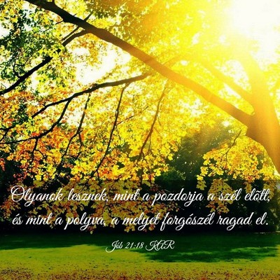 Picture 03 - Jób 21:18 KAR - Olyanok lesznek, mint a pozdorja a szél elõtt, - Bible Verse Picture