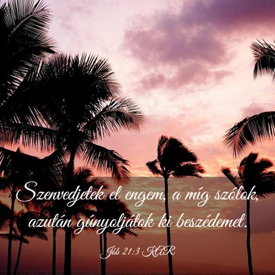 Picture 03 - Jób 21:3 KAR - Szenvedjetek el engem, a míg szólok, azután - Bible Verse Picture
