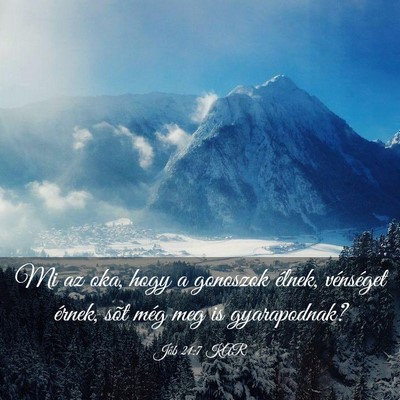 Picture 03 - Jób 21:7 KAR - Mi az oka, hogy a gonoszok élnek, vénséget - Bible Verse Picture