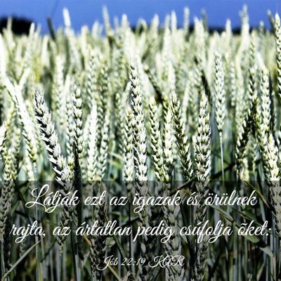 Picture 03 - Jób 22:19 KAR - Látják ezt az igazak és örülnek rajta, az - Bible Verse Picture