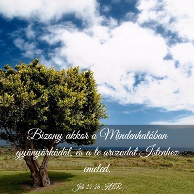 Picture 03 - Jób 22:26 KAR - Bizony akkor a Mindenhatóban gyönyörködöl, - Bible Verse Picture