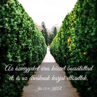 Picture 03 - Jób 22:9 KAR - Az özvegyeket üres kézzel bocsátottad el, és - Bible Verse Picture