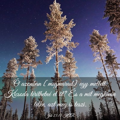 Picture 03 - Jób 23:13 KAR - Õ azonban [megmarad] egy mellett. Kicsoda - Bible Verse Picture
