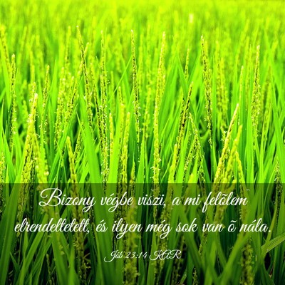 Picture 03 - Jób 23:14 KAR - Bizony végbe viszi, a mi felõlem - Bible Verse Picture