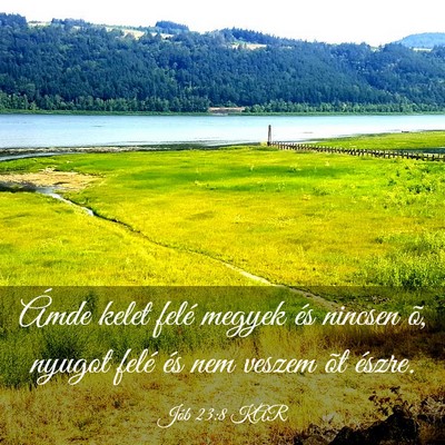 Picture 03 - Jób 23:8 KAR - Ámde kelet felé megyek és nincsen õ, nyugot - Bible Verse Picture
