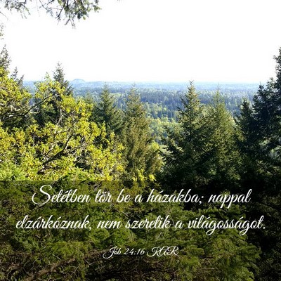 Picture 03 - Jób 24:16 KAR - Setétben tör be a házakba; nappal - Bible Verse Picture