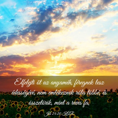 Picture 03 - Jób 24:20 KAR - Elfelejti õt az anyaméh, féregnek lesz - Bible Verse Picture