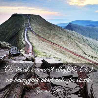Picture 03 - Jób 24:3 KAR - Az árvák szamarát elhajtják, [és] az - Bible Verse Picture