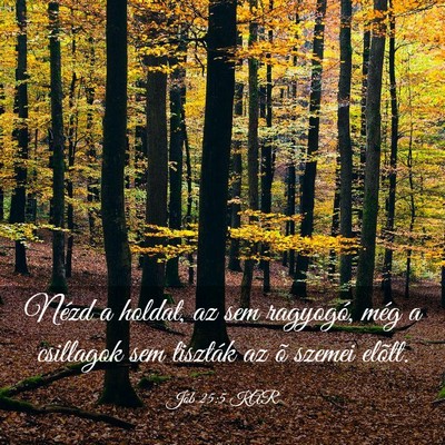 Picture 03 - Jób 25:5 KAR - Nézd a holdat, az sem ragyogó, még a csillagok - Bible Verse Picture