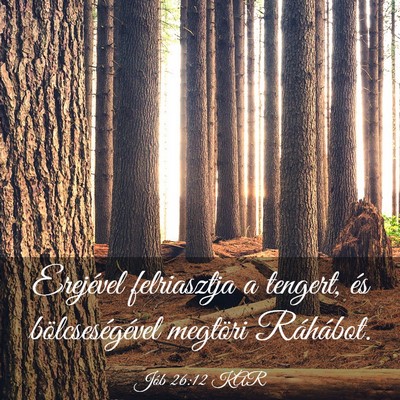 Picture 03 - Jób 26:12 KAR - Erejével felriasztja a tengert, és - Bible Verse Picture