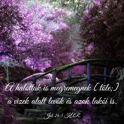 Picture 03 - Jób 26:5 KAR - A halottak is megremegnek [tõle;] a vizek alatt - Bible Verse Picture