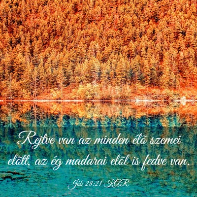 Picture 03 - Jób 28:21 KAR - Rejtve van az minden élõ szemei elõtt, az ég - Bible Verse Picture