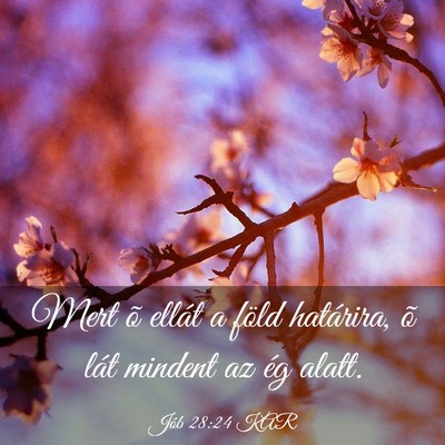 Picture 03 - Jób 28:24 KAR - Mert õ ellát a föld határira, õ lát mindent - Bible Verse Picture