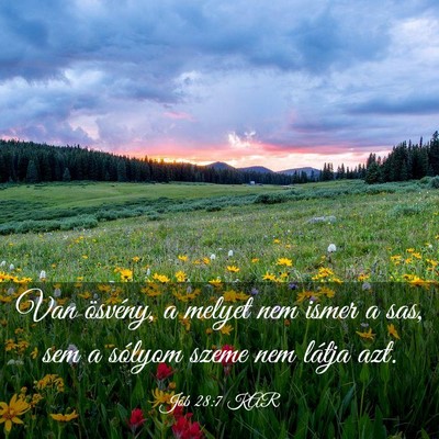 Picture 03 - Jób 28:7 KAR - Van ösvény, a melyet nem ismer a sas, sem a - Bible Verse Picture