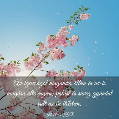 Picture 03 - Jób 29:14 KAR - Az igazságot magamra öltém és az is magára - Bible Verse Picture