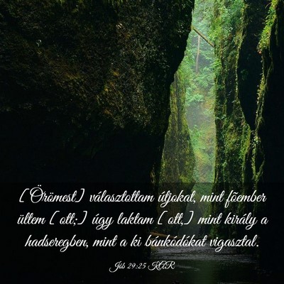 Picture 03 - Jób 29:25 KAR - [Örömest] választottam útjokat, mint fõember - Bible Verse Picture