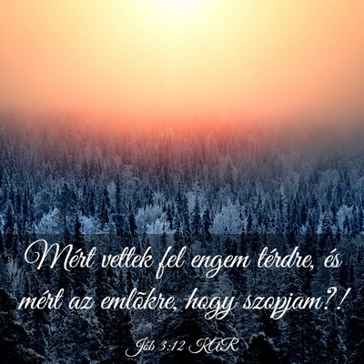 Picture 03 - Jób 3:12 KAR - Mért vettek fel engem térdre, és mért az - Bible Verse Picture