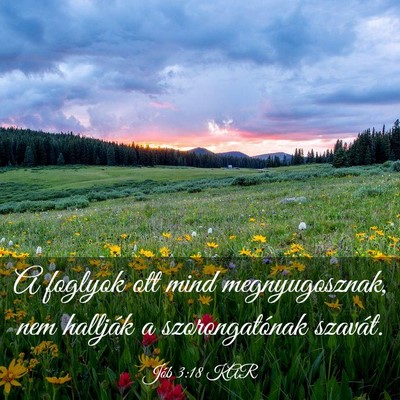 Picture 03 - Jób 3:18 KAR - A foglyok ott mind megnyugosznak, nem hallják a - Bible Verse Picture