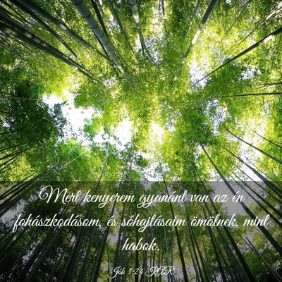 Picture 03 - Jób 3:24 KAR - Mert kenyerem gyanánt van az én - Bible Verse Picture
