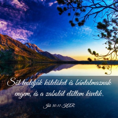 Picture 03 - Jób 30:11 KAR - Sõt leoldják kötelöket és bántalmaznak - Bible Verse Picture