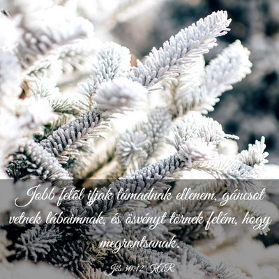 Picture 03 - Jób 30:12 KAR - Jobb felõl ifjak támadnak ellenem, gáncsot - Bible Verse Picture