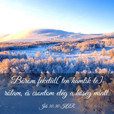 Picture 03 - Jób 30:30 KAR - Bõröm feketül[ten hámlik le] rólam, és - Bible Verse Picture