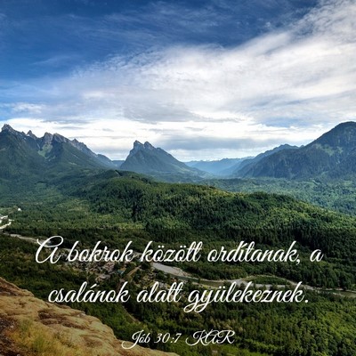 Picture 03 - Jób 30:7 KAR - A bokrok között ordítanak, a csalánok alatt - Bible Verse Picture