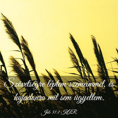 Picture 03 - Jób 31:1 KAR - Szövetségre léptem szemeimmel, és hajadonra - Bible Verse Picture