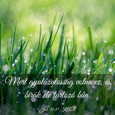 Picture 03 - Jób 31:11 KAR - Mert gyalázatosság volna ez, és birák elé - Bible Verse Picture