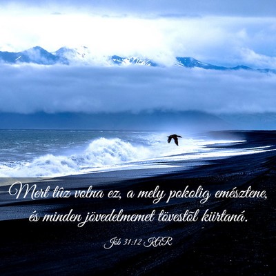 Picture 03 - Jób 31:12 KAR - Mert tûz volna ez, a mely pokolig emésztene, - Bible Verse Picture