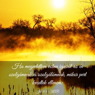 Picture 03 - Jób 31:13 KAR - Ha megvetettem volna igazát az én szolgámnak - Bible Verse Picture