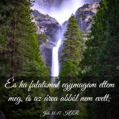 Picture 03 - Jób 31:17 KAR - És ha falatomat egymagam ettem meg, és az árva - Bible Verse Picture